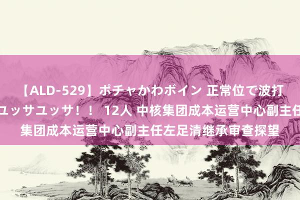 【ALD-529】ポチャかわボイン 正常位で波打つ腹肉！！騎乗位でユッサユッサ！！ 12人 中核集团成本运营中心副主任左足清继承审查探望