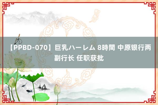 【PPBD-070】巨乳ハーレム 8時間 中原银行两副行长 任职获批