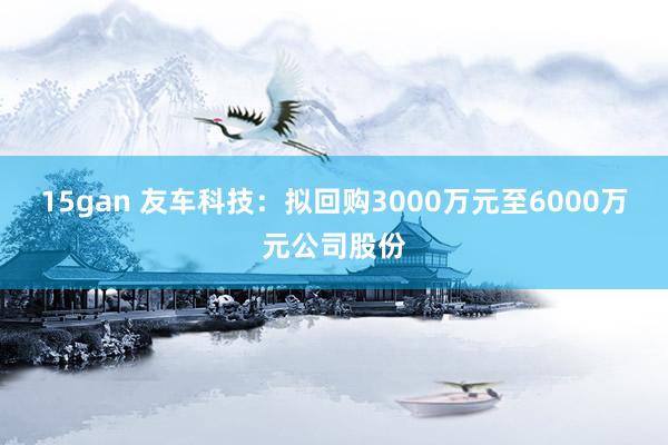 15gan 友车科技：拟回购3000万元至6000万元公司股份