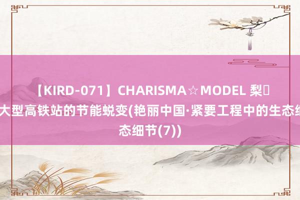 【KIRD-071】CHARISMA☆MODEL 梨々花 一座大型高铁站的节能蜕变(艳丽中国·紧要工程中的生态细节(7))