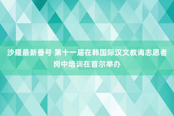 沙羅最新番号 第十一届在韩国际汉文教诲志愿者岗中培训在首尔举办