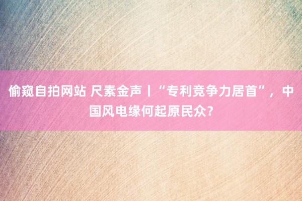 偷窥自拍网站 尺素金声丨“专利竞争力居首”，中国风电缘何起原民众？