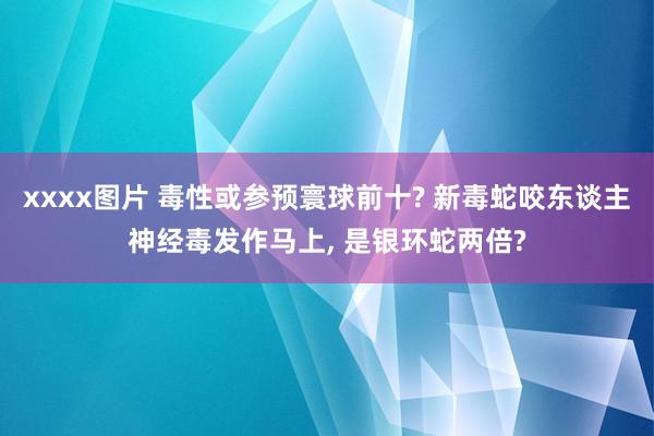 xxxx图片 毒性或参预寰球前十? 新毒蛇咬东谈主神经毒发作马上, 是银环蛇两倍?