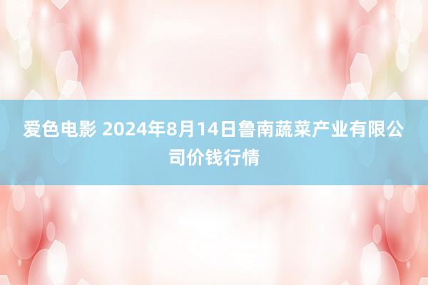 爱色电影 2024年8月14日鲁南蔬菜产业有限公司价钱行情