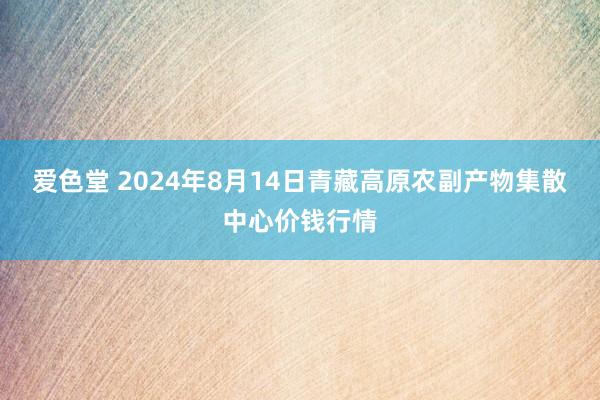 爱色堂 2024年8月14日青藏高原农副产物集散中心价钱行情