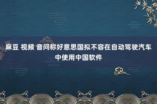 麻豆 视频 音问称好意思国拟不容在自动驾驶汽车中使用中国软件