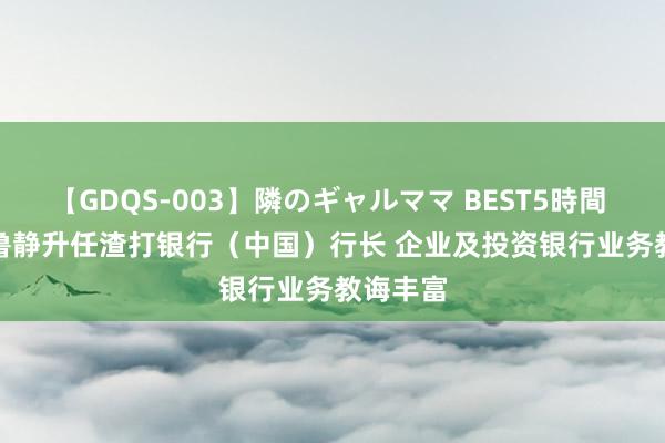 【GDQS-003】隣のギャルママ BEST5時間 Vol.2 鲁静升任渣打银行（中国）行长 企业及投资银行业务教诲丰富