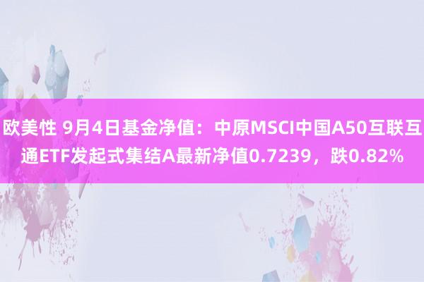 欧美性 9月4日基金净值：中原MSCI中国A50互联互通ETF发起式集结A最新净值0.7239，跌0.82%