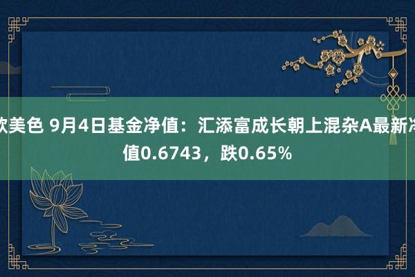 欧美色 9月4日基金净值：汇添富成长朝上混杂A最新净值0.6743，跌0.65%