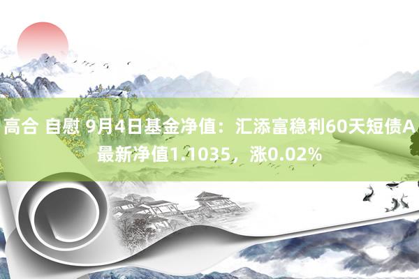 高合 自慰 9月4日基金净值：汇添富稳利60天短债A最新净值1.1035，涨0.02%