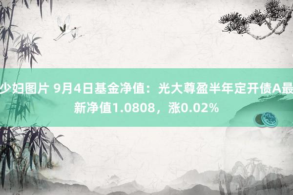 少妇图片 9月4日基金净值：光大尊盈半年定开债A最新净值1.0808，涨0.02%