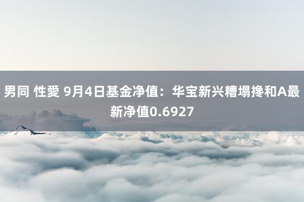 男同 性愛 9月4日基金净值：华宝新兴糟塌搀和A最新净值0.6927