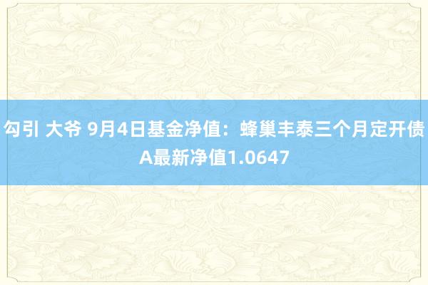 勾引 大爷 9月4日基金净值：蜂巢丰泰三个月定开债A最新净值1.0647