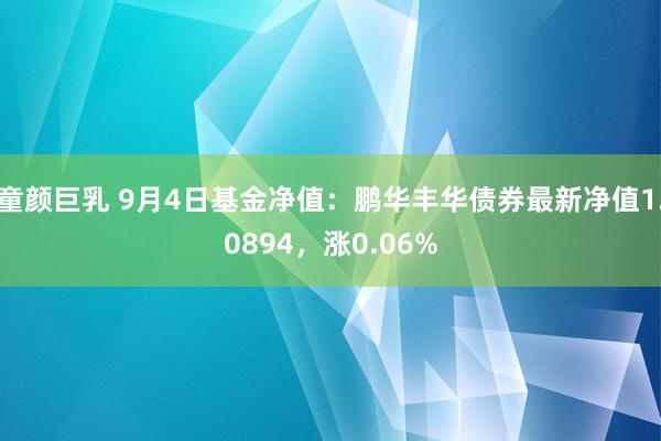 童颜巨乳 9月4日基金净值：鹏华丰华债券最新净值1.0894，涨0.06%