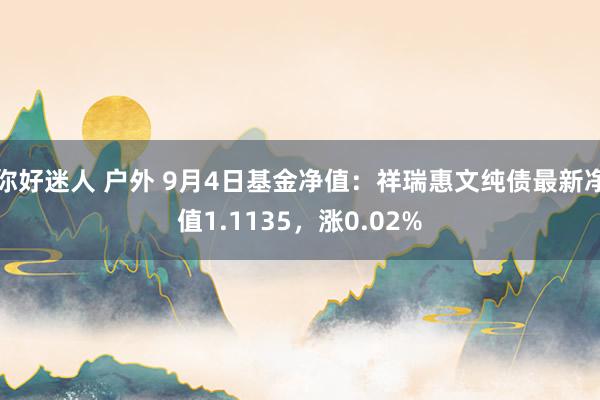 你好迷人 户外 9月4日基金净值：祥瑞惠文纯债最新净值1.1135，涨0.02%