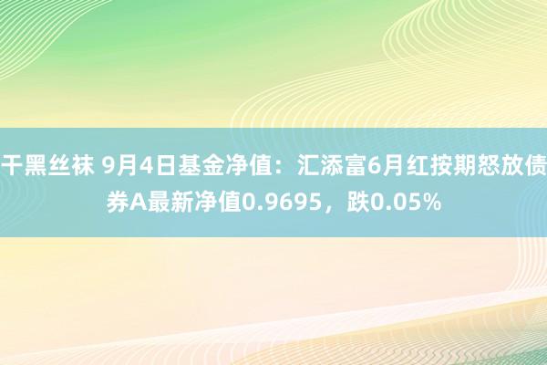 干黑丝袜 9月4日基金净值：汇添富6月红按期怒放债券A最新净值0.9695，跌0.05%