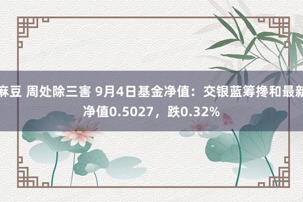 麻豆 周处除三害 9月4日基金净值：交银蓝筹搀和最新净值0.5027，跌0.32%