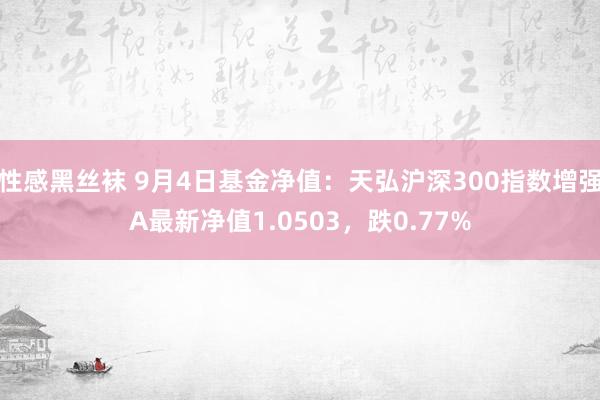 性感黑丝袜 9月4日基金净值：天弘沪深300指数增强A最新净值1.0503，跌0.77%