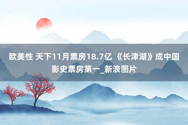 欧美性 天下11月票房18.7亿 《长津湖》成中国影史票房第一_新浪图片