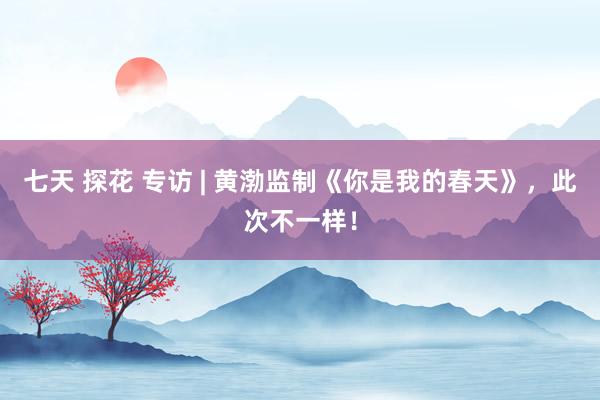 七天 探花 专访 | 黄渤监制《你是我的春天》，此次不一样！