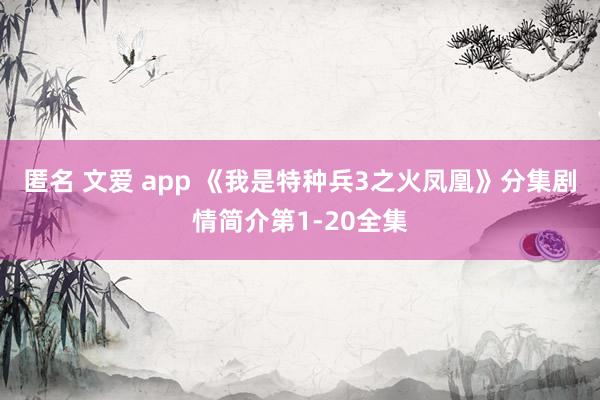 匿名 文爱 app 《我是特种兵3之火凤凰》分集剧情简介第1-20全集