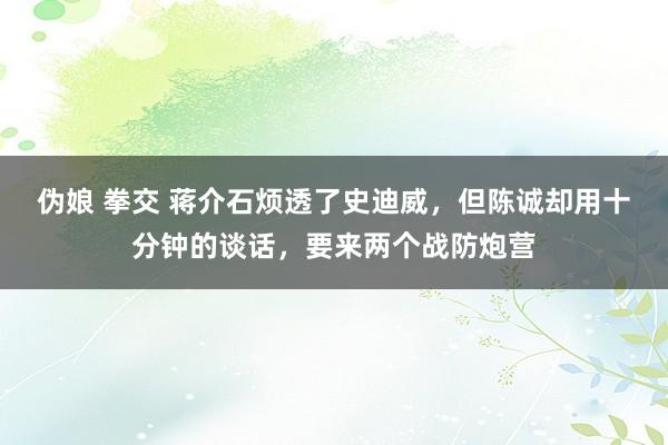 伪娘 拳交 蒋介石烦透了史迪威，但陈诚却用十分钟的谈话，要来两个战防炮营