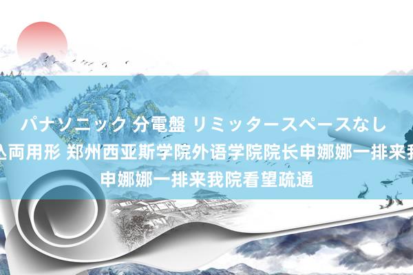 パナソニック 分電盤 リミッタースペースなし 露出・半埋込両用形 郑州西亚斯学院外语学院院长申娜娜一排来我院看望疏通